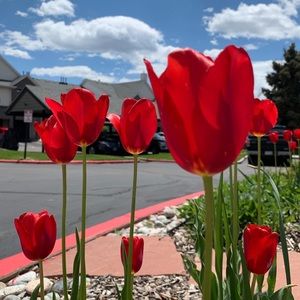 Meet your Posher, Bhavana